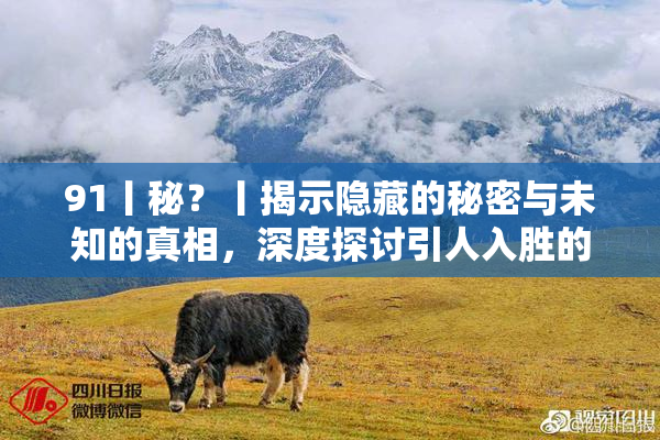 91丨秘？丨揭示隐藏的秘密与未知的真相，深度探讨引人入胜的故事