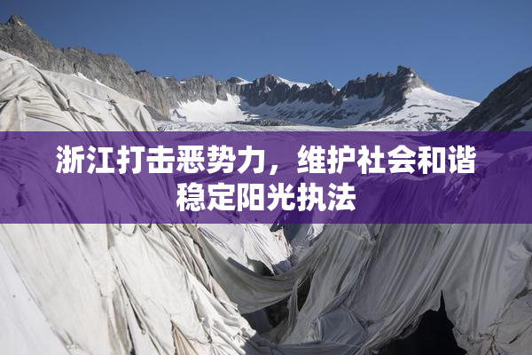 浙江打击恶势力，维护社会和谐稳定阳光执法