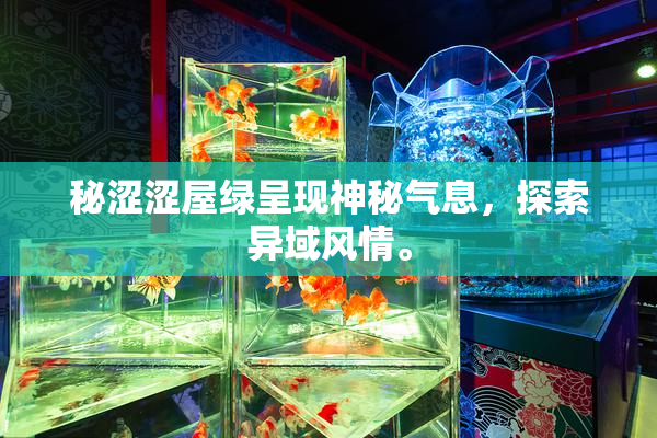 秘涩涩屋绿呈现神秘气息，探索异域风情。