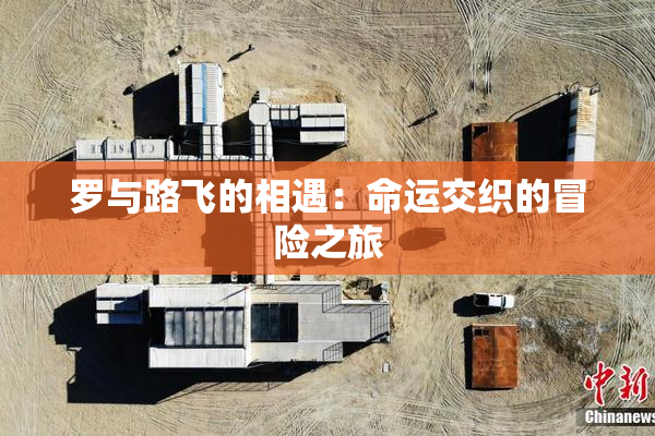 罗与路飞的相遇：命运交织的冒险之旅