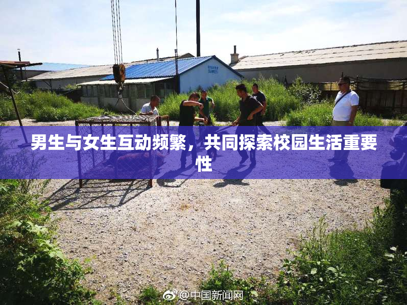 男生与女生互动频繁，共同探索校园生活重要性