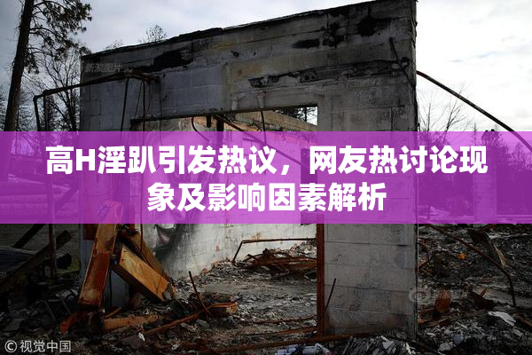 高H淫趴引发热议，网友热讨论现象及影响因素解析
