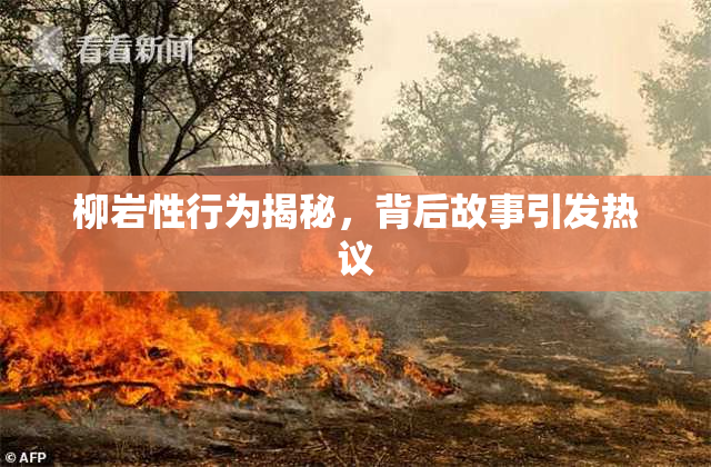 柳岩性行为揭秘，背后故事引发热议