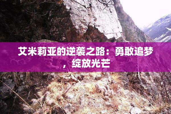 艾米莉亚的逆袭之路：勇敢追梦，绽放光芒
