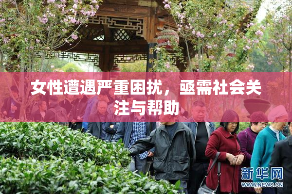 女性遭遇严重困扰，亟需社会关注与帮助