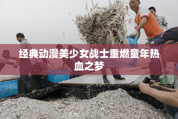 经典动漫美少女战士重燃童年热血之梦