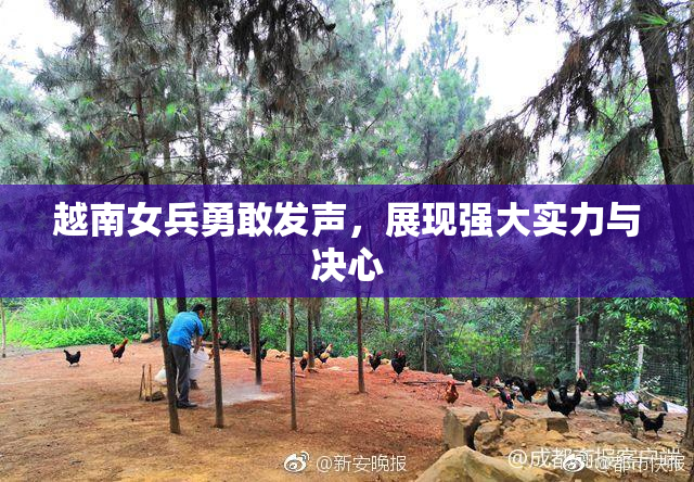 越南女兵勇敢发声，展现强大实力与决心