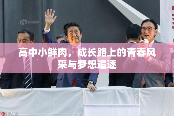 高中小鲜肉，成长路上的青春风采与梦想追逐