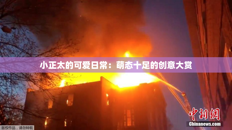 小正太的可爱日常：萌态十足的创意大赏