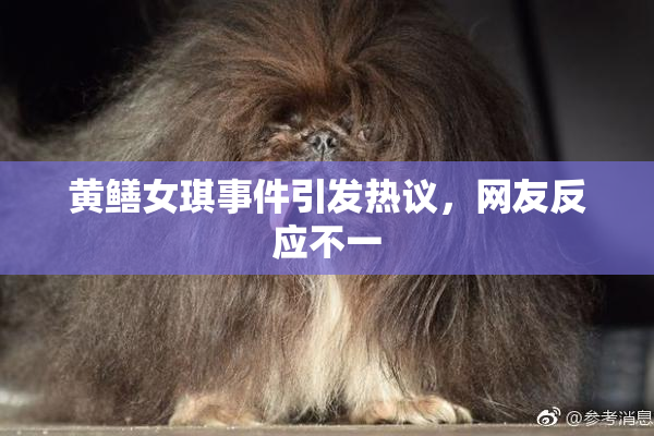 黄鳝女琪事件引发热议，网友反应不一