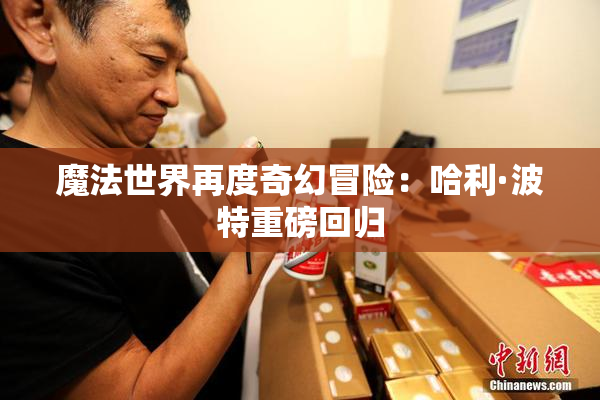 魔法世界再度奇幻冒险：哈利·波特重磅回归