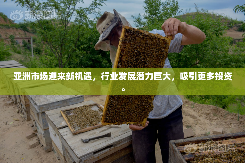 亚洲市场迎来新机遇，行业发展潜力巨大，吸引更多投资。