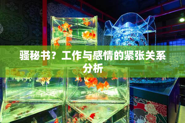 骚秘书？工作与感情的紧张关系分析