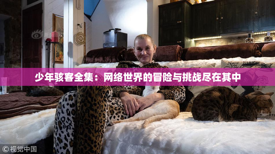 少年骇客全集：网络世界的冒险与挑战尽在其中
