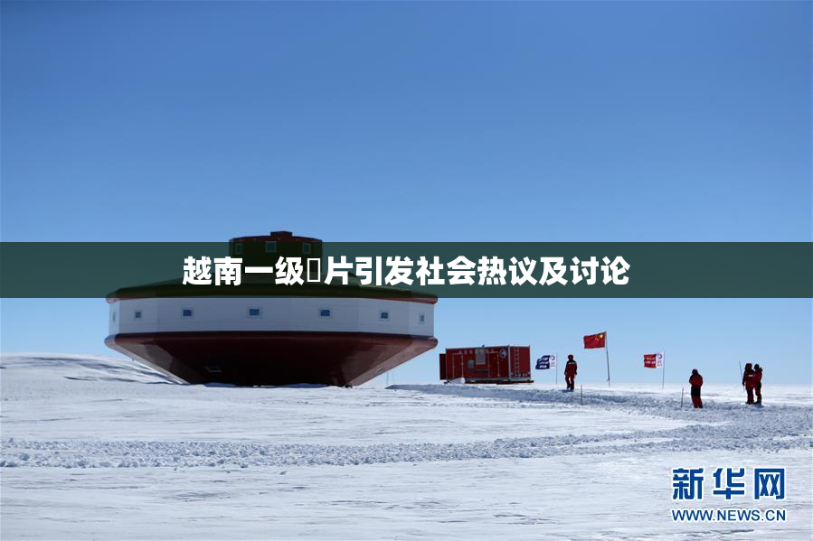 越南一级婬片引发社会热议及讨论
