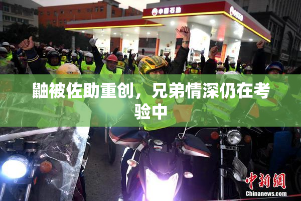 鼬被佐助重创，兄弟情深仍在考验中