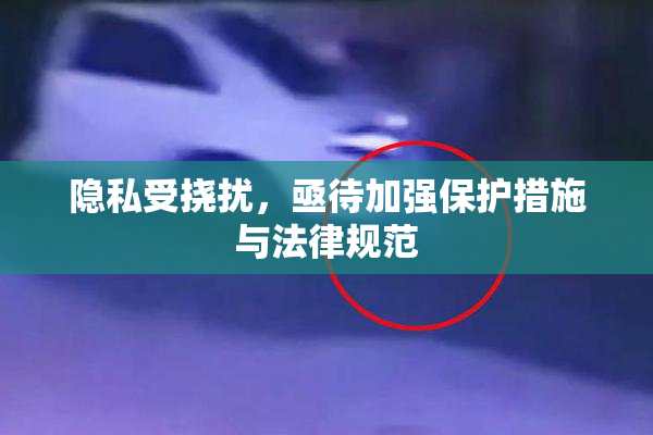 隐私受挠扰，亟待加强保护措施与法律规范