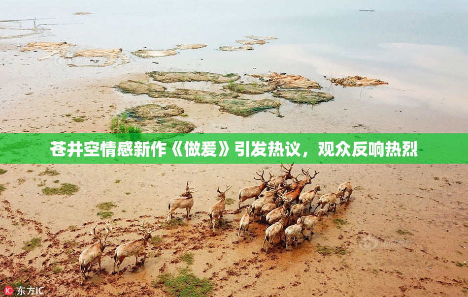 苍井空情感新作《做爰》引发热议，观众反响热烈
