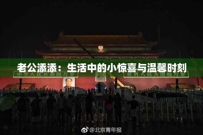 老公添添：生活中的小惊喜与温馨时刻