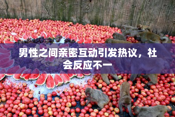 男性之间亲密互动引发热议，社会反应不一