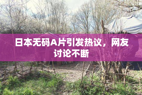日本无码A片引发热议，网友讨论不断