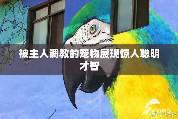 被主人调教的宠物展现惊人聪明才智