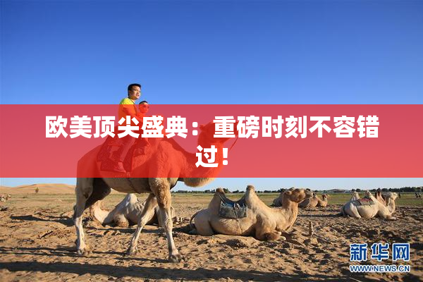 欧美顶尖盛典：重磅时刻不容错过！