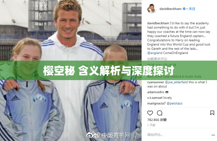 樱空秘 含义解析与深度探讨