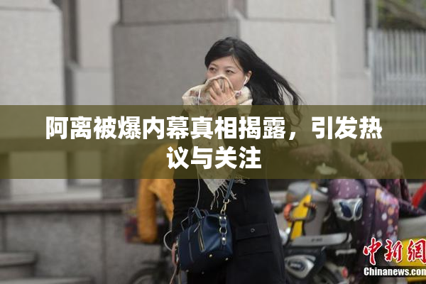 阿离被爆内幕真相揭露，引发热议与关注