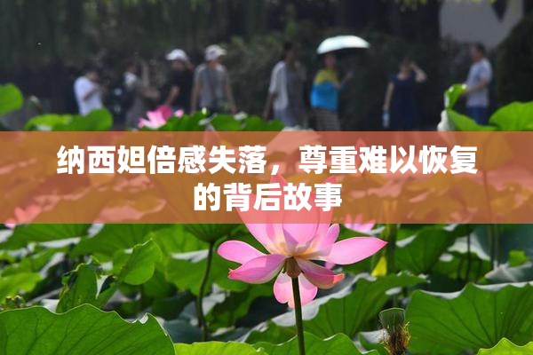 纳西妲倍感失落，尊重难以恢复的背后故事