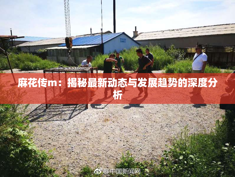 麻花传m：揭秘最新动态与发展趋势的深度分析