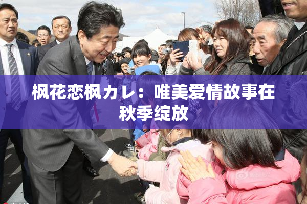 枫花恋枫カレ：唯美爱情故事在秋季绽放