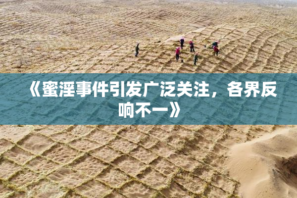 《蜜淫事件引发广泛关注，各界反响不一》