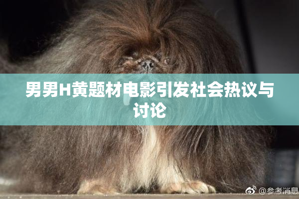 男男H黄题材电影引发社会热议与讨论