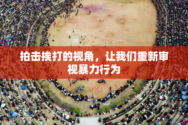拍击挨打的视角，让我们重新审视暴力行为