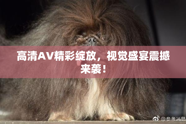 高清AV精彩绽放，视觉盛宴震撼来袭！