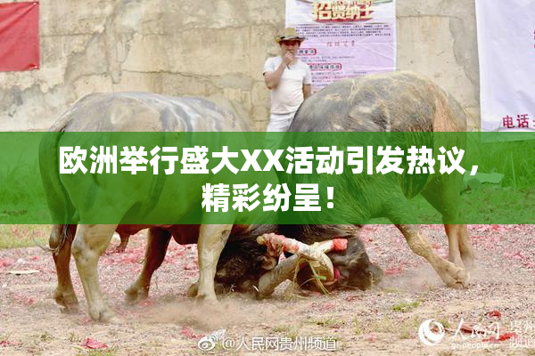 欧洲举行盛大XX活动引发热议，精彩纷呈！