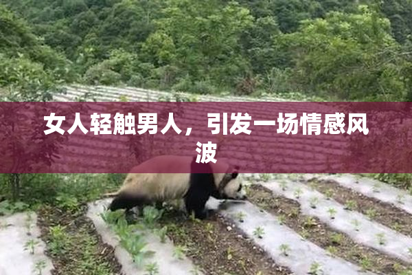 女人轻触男人，引发一场情感风波
