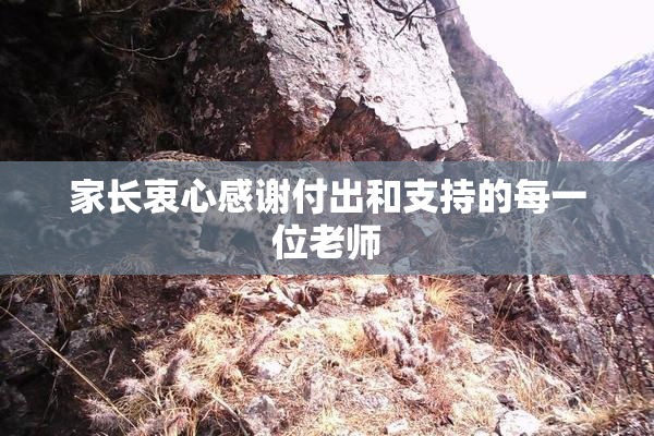家长衷心感谢付出和支持的每一位老师