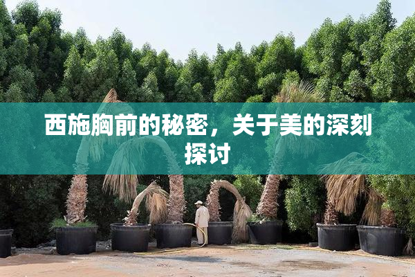 西施胸前的秘密，关于美的深刻探讨
