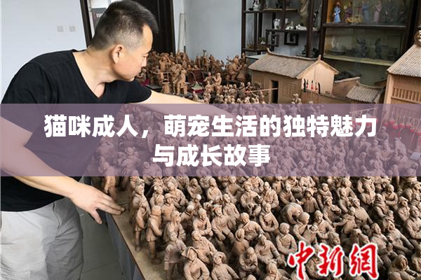 猫咪成人，萌宠生活的独特魅力与成长故事