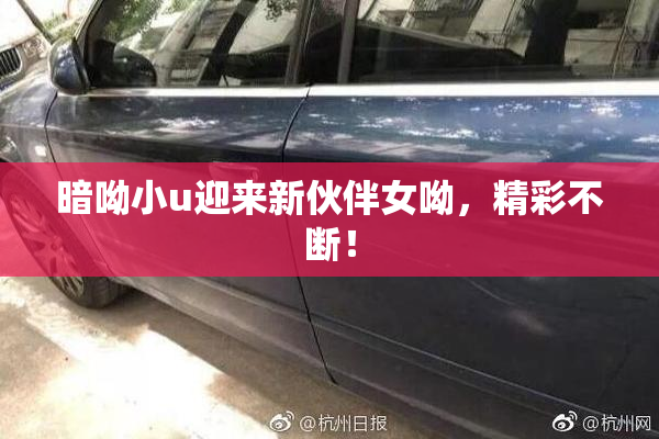 暗呦小u迎来新伙伴女呦，精彩不断！