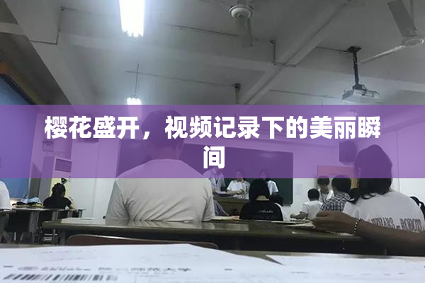 樱花盛开，视频记录下的美丽瞬间