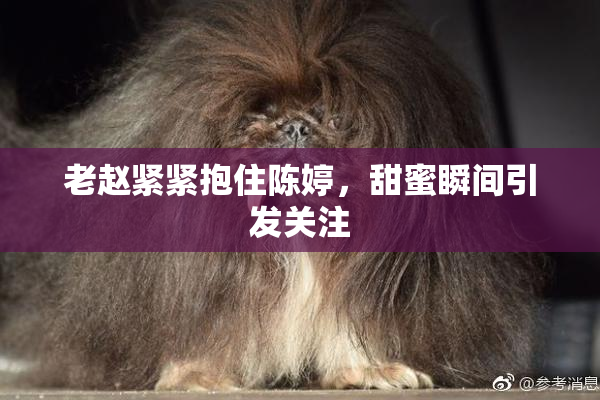 老赵紧紧抱住陈婷，甜蜜瞬间引发关注