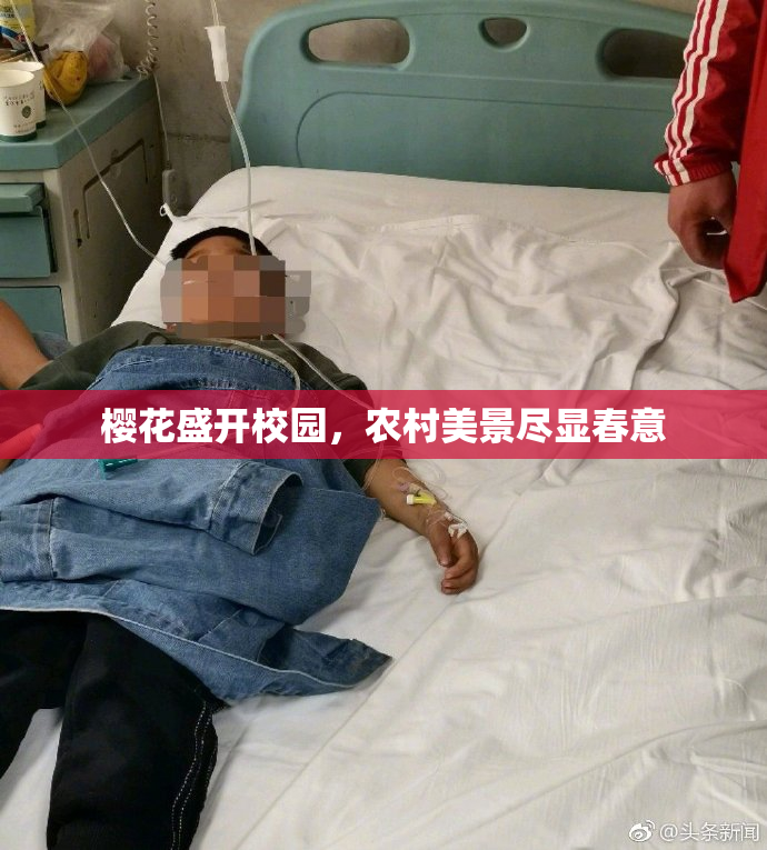 樱花盛开校园，农村美景尽显春意