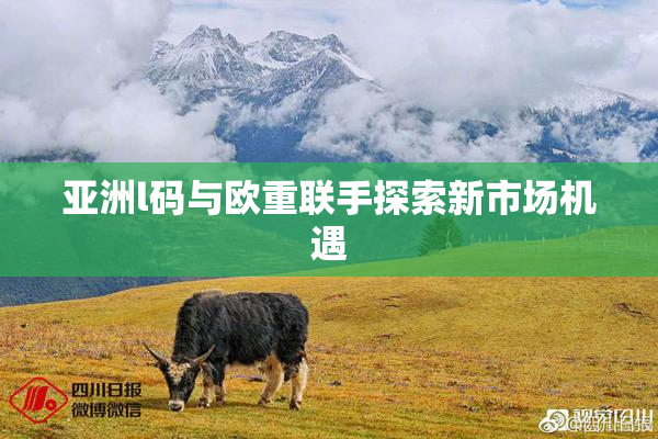 亚洲l码与欧重联手探索新市场机遇