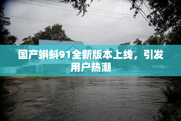 国产蝌蚪91全新版本上线，引发用户热潮
