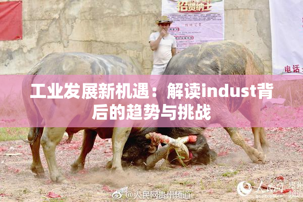 工业发展新机遇：解读indust背后的趋势与挑战