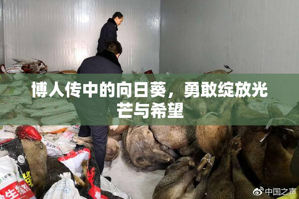 博人传中的向日葵，勇敢绽放光芒与希望