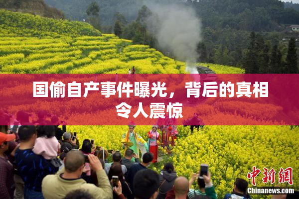 国偷自产事件曝光，背后的真相令人震惊